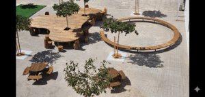 מושבי אקליפטוס