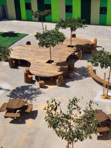 מושבי אקליפטוס